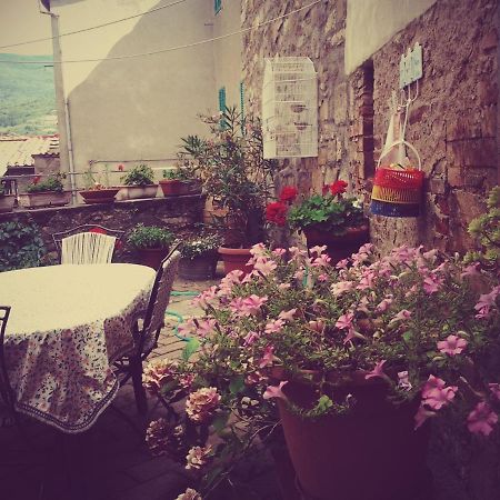Dimora Toscana Apartman Seggiano Kültér fotó