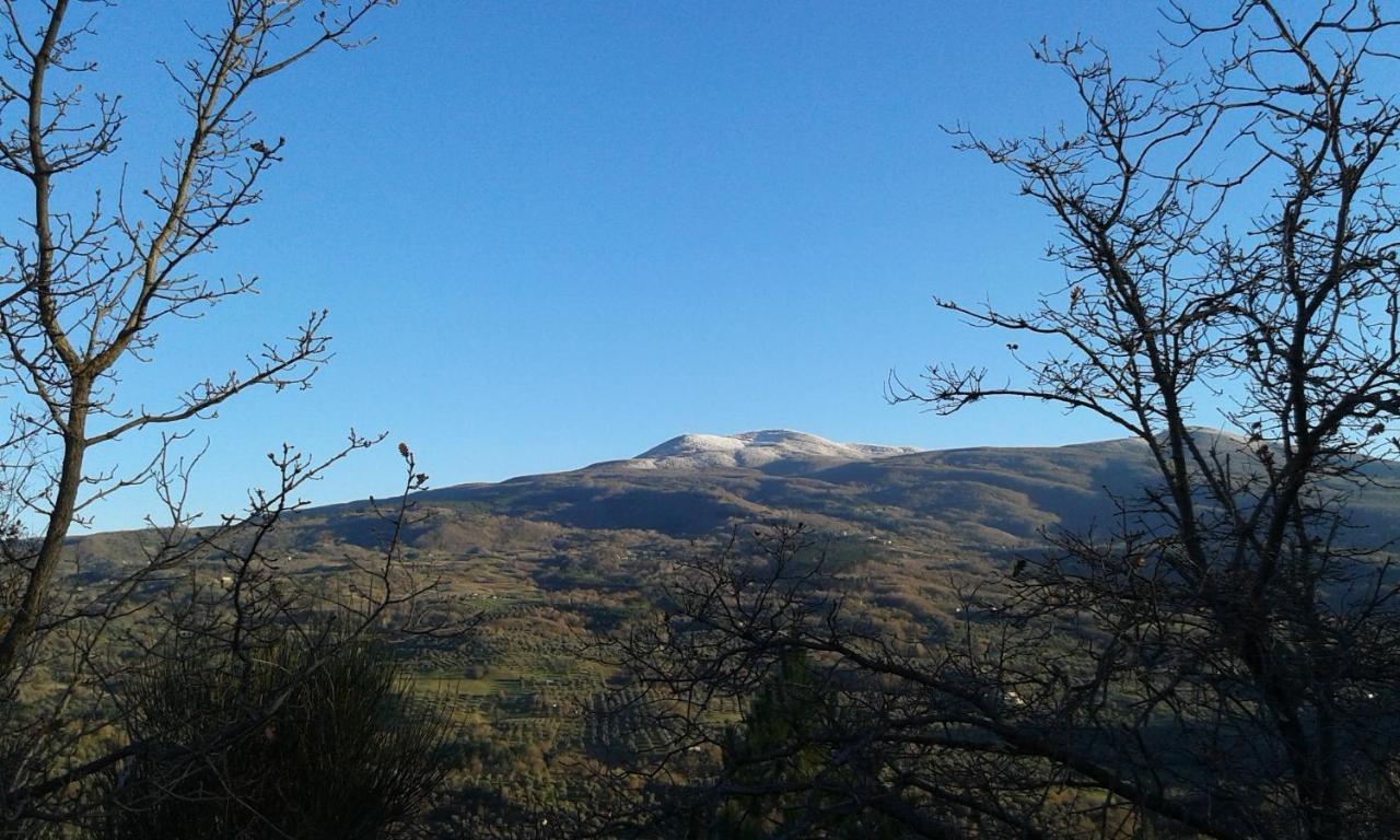 Dimora Toscana Apartman Seggiano Kültér fotó