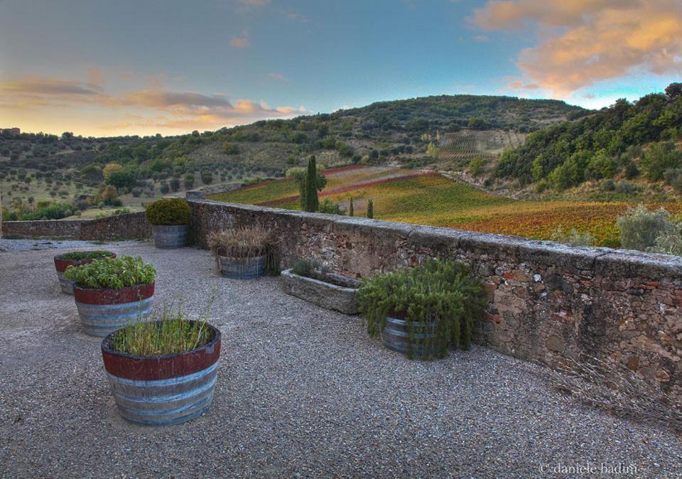 Dimora Toscana Apartman Seggiano Kültér fotó
